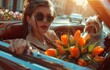 Young beautiful confident woman riding in a car with a small dog Yorkshire terrier breed. Traveling with a cute pet doggy. Orange tulips bouquet. Generated AI.