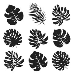 Wall Mural - Palm leaves. Exotic black leaves. Silhouettes of various palm trees.