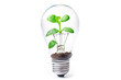 Innovation in Sustainability: Sprout in Light Bulb Conceptualizing Green Energy and Eco-Innovation. Creative Visual for Eco-Solutions and Sustainable Development.