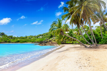 Wall Mural - the beautiful beach of carlisle bay at the caribbean islands of antigua and barbuda with fine sand a