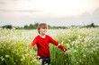 Little smiling boy on a chamomile field on a sunny summer day. Happy cheerful child boy walk in chamomile meadow pick up flowers outdoor. Springtime. Childhood. Cute children at camomile field