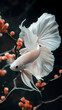 Elegant White Betta Fish Swimming Amidst Vibrant Orange Blossoms