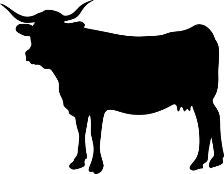 Cow Animal Silhouette