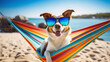 Dog  with sunglasses relaxing on a rainbow hammock. Vacation concept.
