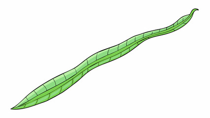 Fototapete - A long slender leafy object with a loose and open shape. Its leaves are a pale green color and have a delicate tender texture.  on white background. Cartoon Vector.