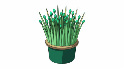 Poster - A of pale cylindrical stems with feathery dark green leaves sprouting from the top.  on white background . Cartoon Vector.