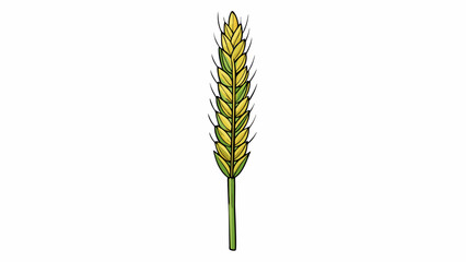 Poster - A tall slender plant with long leaves and s of small barley grains growing at the top. Its stem is sy and can withstand harsh weather conditions. . Cartoon Vector.