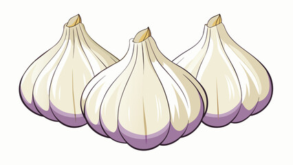 Sticker - A translucent white sheath enveloping a of plump ivorycolored cloves each with a faint purple tinge at the tips.  on white background . Cartoon Vector.