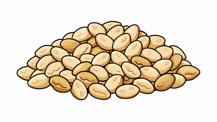 Poster - In its raw form sorghum resembles small round grains with a hard outer layer and a creamy white center.  on white background . Cartoon Vector.