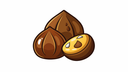 Poster - The Macadamia nuts have a unique teardrop shape with a glossy dark brown exterior. They are known for their buttery and nutty flavor.  on white. Cartoon Vector.