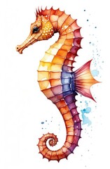 Wall Mural - detailed hand-drawn watercolor illustration of sea horse on white background. ocean wildlife