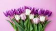 bouquet of purple and white tulips on pink background