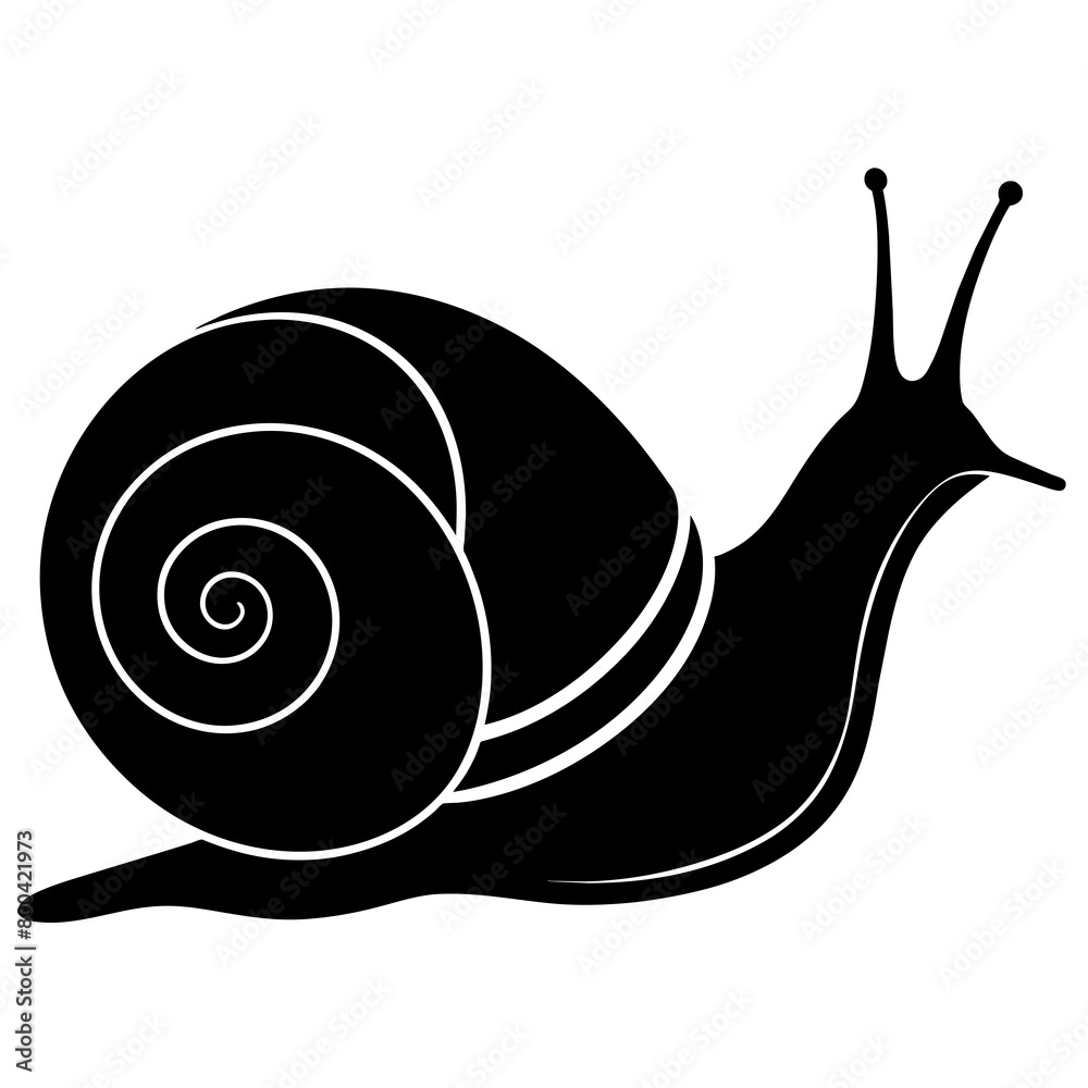 Snail silhouette vector illustration isolated on white background ...