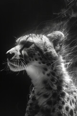 Aufkleber - A design where the patterns of a cheetah's coat flow into speed lines, emphasizing their incredible velocity and the pressures of survival.