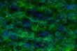 © Anfisa&friends/Stocksy - abstract watercolor pattern