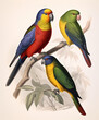 Vintage illustrations depicting colourful exotic birds. AI generative.
