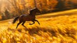   A horse gallops through a field of yellow grass In the distance, a forest of trees stands in the background