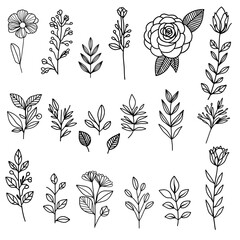 Wall Mural - set of hand drawn flowers elements and leaves. Botanical collections. 