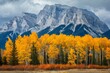 Vibrant Autumn Trees and Majestic Mountain Range - Seasonal Beauty, Natural Landscape, Outdoor Exploration