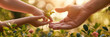 A moment of connection as hands come together with a plant between them, signifying environmental understanding
