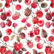 watercolor raspberry digital paper  scrapbook papers seamless pattern  digital background printable paper red berries repeat Flower Pattern, Flower Printable, Digital Download, Seamless Pattern, 