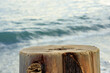 A large log is sitting on the beach near the water