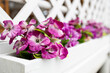 selective focus, perspective from flower boxes with artificial flowers