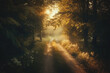 sun rays in the forest, sunrise in the woods, sunrise in the forest, a dirt road with a light shining through the trees