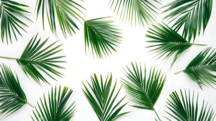 Wall Mural - Dry tropical exotic palm leaves on white background. Flat lay, top view minimalist floral pattern aesthetic composition