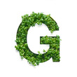Capital letter G is created from young green arugula sprouts on a white background.