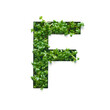 Capital letter F is created from young green arugula sprouts on a white background.