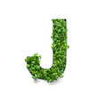 Capital letter J is created from young green arugula sprouts on a white background.