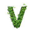 Capital letter V is created from young green arugula sprouts on a white background.
