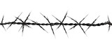 Fototapeta  - barbed wire isolated on white transparent background 