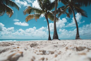 Wall Mural - tropical beach with sand and coconut trees in low angle ground level view