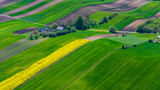 Fototapeta  - Colorful countryside and farmlands in Ponidzie region of Poland. Aerial drone view