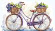 A watercolor portrayal showcases a violet-colored bicycle, complete with a charming basket containing luscious grapes