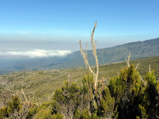 A picturesque view of a mountain valley overgrown with brown and green grass. Above her is a blue sky with white clouds