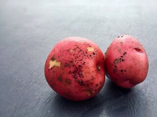 Rhizoctonia fungus on two red potatoes on a black background