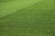 
Green stadium grass. Natural grass of a soccer stadium or football stadium. Close-up of court grass texture with natural lawn. Sports background with copy space.