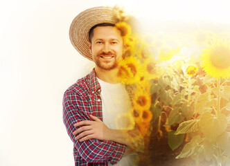 Poster - Double exposure of farmer and sunflower field on white background