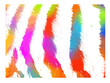 colored zebra or tiger fur background. Not AI, Vector illustration.