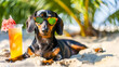 Dachshund Dog Relaxing on Warm Sands, Enjoying Summertime with Sunglasses on a Seaside Vacation