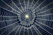 © SaroStock - The intricate patterns of a spider's web glistening with dew