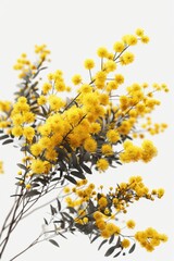 Poster - Yellow flowers in a vase on a table, suitable for interior design projects