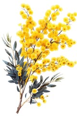 Wall Mural - Bright yellow flowers against a clean white backdrop. Suitable for various design projects