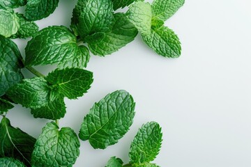 Poster - Fresh mint leaves on a white surface, perfect for culinary projects