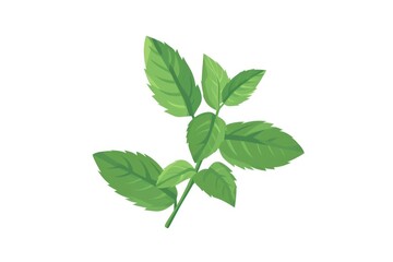 Aufkleber - Fresh green leaves on a clean white background. Ideal for botanical projects