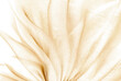 closeup of the wavy creamy peach color  organza fabric