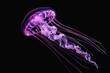 A jellyfish floating in dark water. Suitable for marine life themes